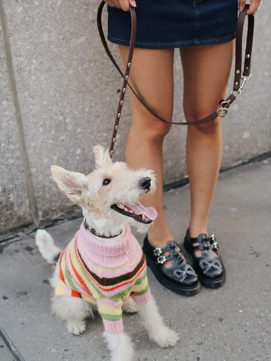 Dog Stud Collar Brown Pet Lisa Says Gah Women