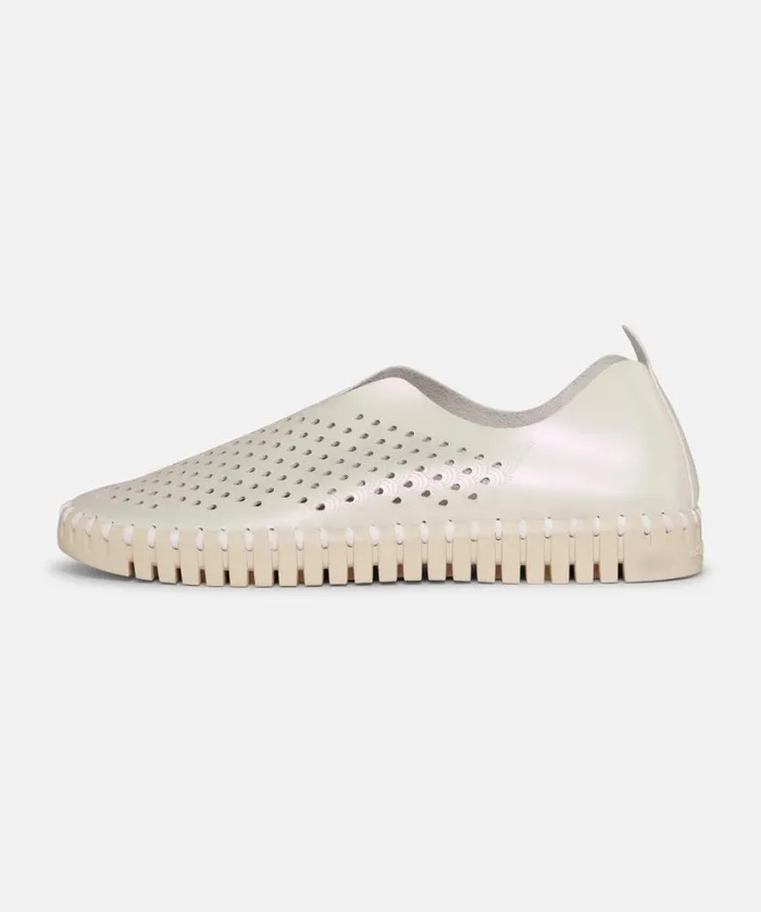 Flats 8211 Whitecap Shoes Ilse Jacobsen Tulip Flats Flats 8211 Whitecap Shoes Ilse Jacobsen Tulip Flats