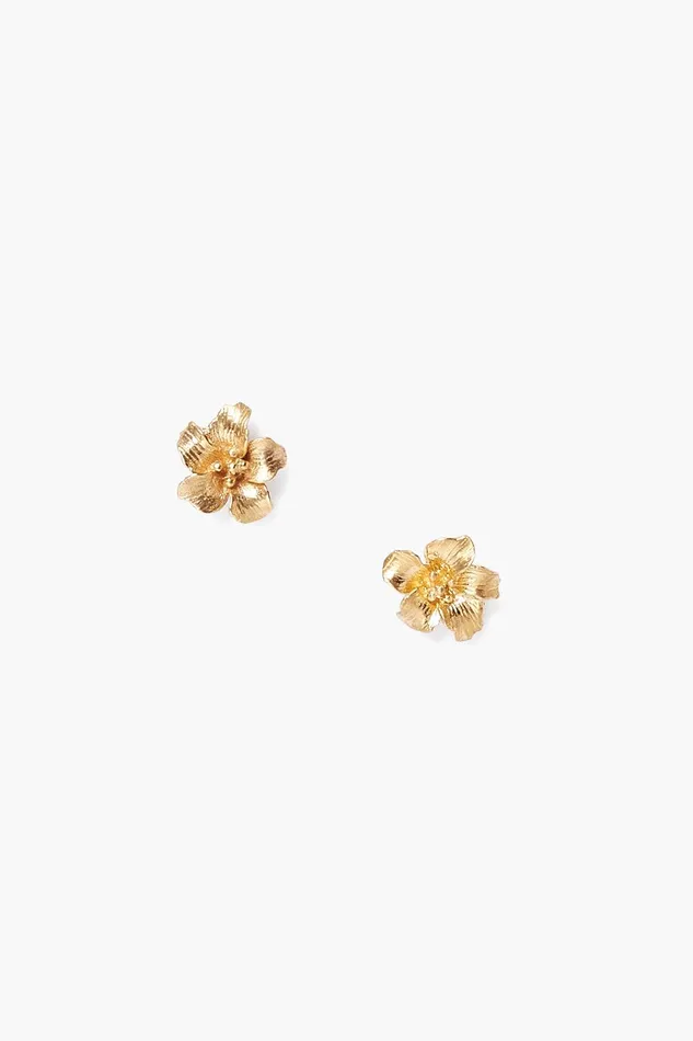 Gold Hibiscus Stud Earrings Women Chan Luu Earrings