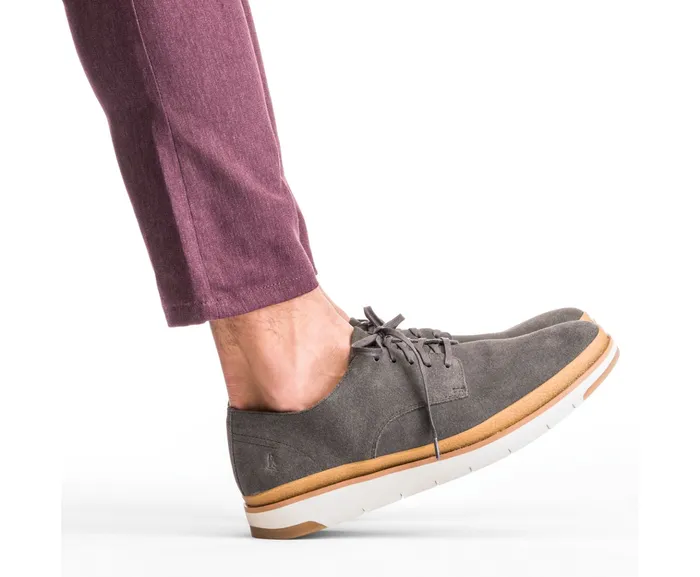 Hush Puppies Caleb Pt Oxford Navy Suede Men Oxfords Hush Puppies Caleb Pt Oxford Navy Suede Men Oxfords