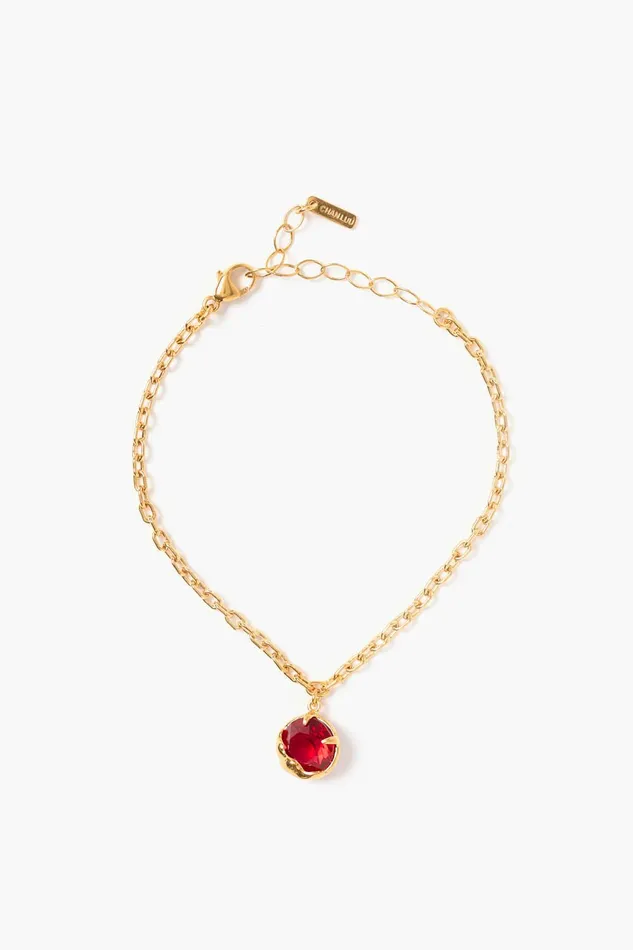 January Birthstone Bracelet Garnet Crystal Women Chan Luu Bracelets