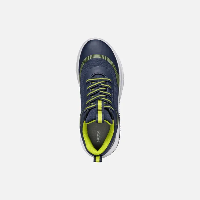 Kids Geox Sneakers ACTIVART BOY NavyLime Low Top Sneakers Navylime