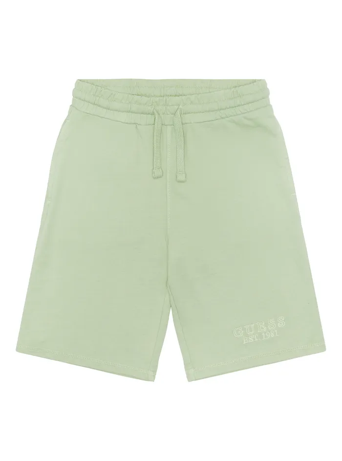 Kids Little Boy GUESS Green Active Logo Shorts 27