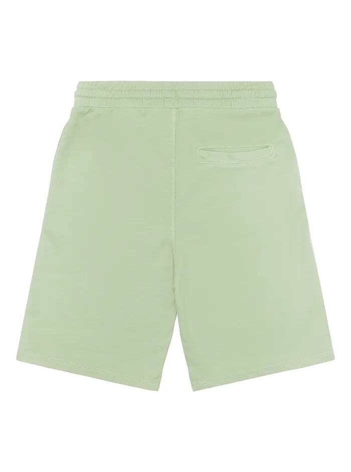 Kids Little Boy GUESS Green Active Logo Shorts 27