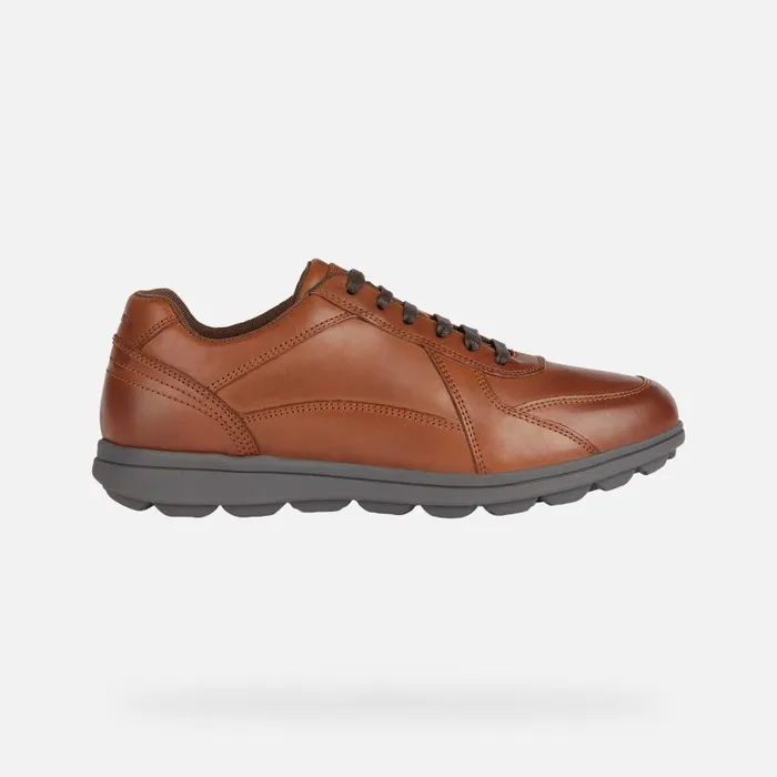 Man Geox Casual Shoes SPHERICA EC12 Men039s Cognac Leather Sneakers Geox Cognac