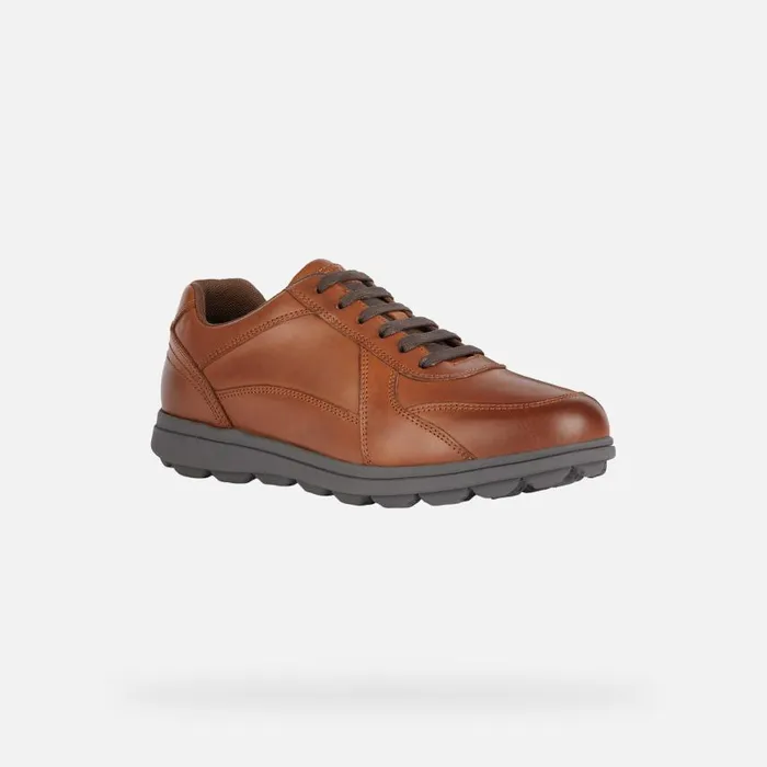Man Geox Casual Shoes SPHERICA EC12 Men039s Cognac Leather Sneakers Geox Cognac