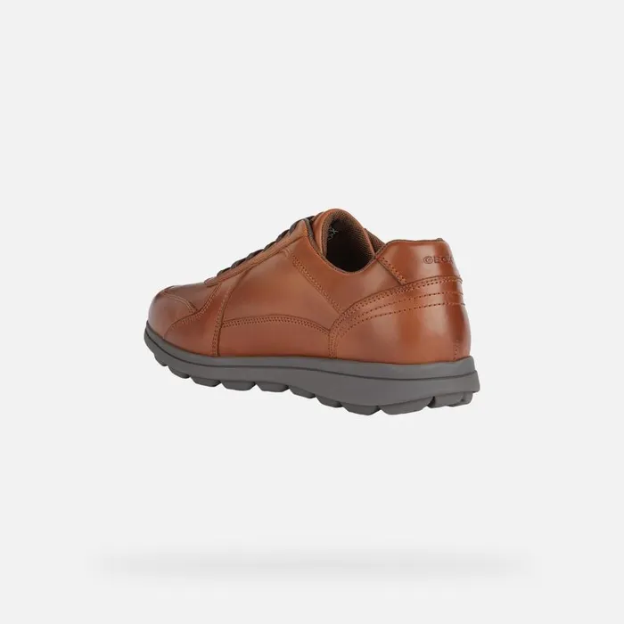 Man Geox Casual Shoes SPHERICA EC12 Men039s Cognac Leather Sneakers Geox Cognac