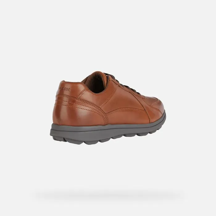 Man Geox Casual Shoes SPHERICA EC12 Men039s Cognac Leather Sneakers Geox Cognac