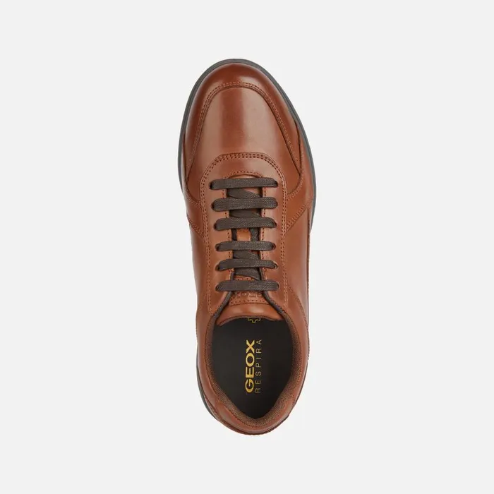 Man Geox Casual Shoes SPHERICA EC12 Men039s Cognac Leather Sneakers Geox Cognac