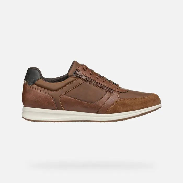 Man Geox Sneakers AVERY MAN Brown Cotto Low Top Sneakers Brown Cotto