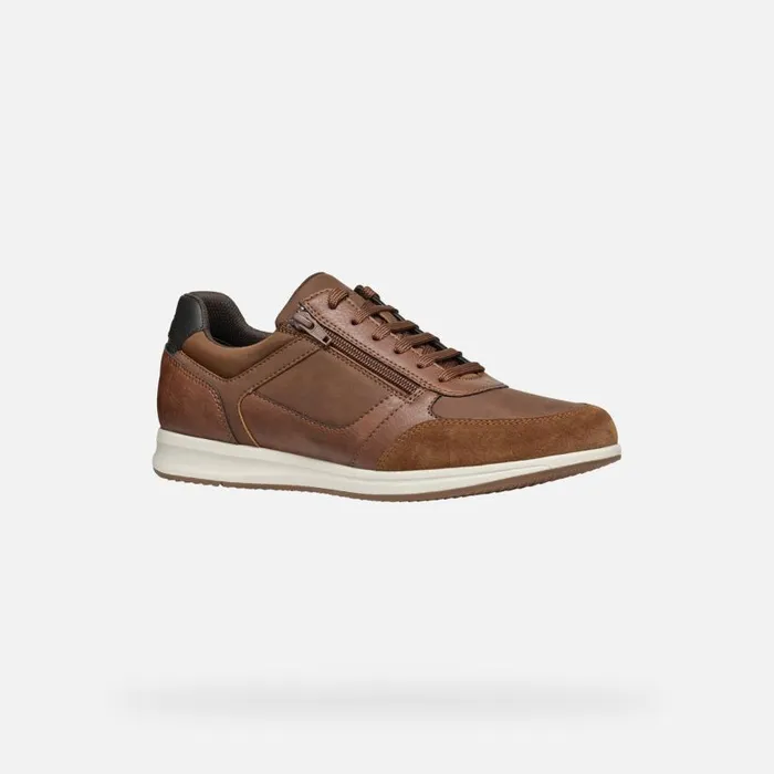 Man Geox Sneakers AVERY MAN Brown Cotto Low Top Sneakers Brown Cotto