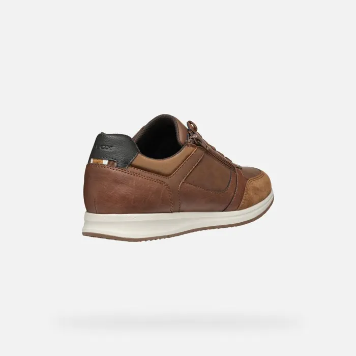 Man Geox Sneakers AVERY MAN Brown Cotto Low Top Sneakers Brown Cotto