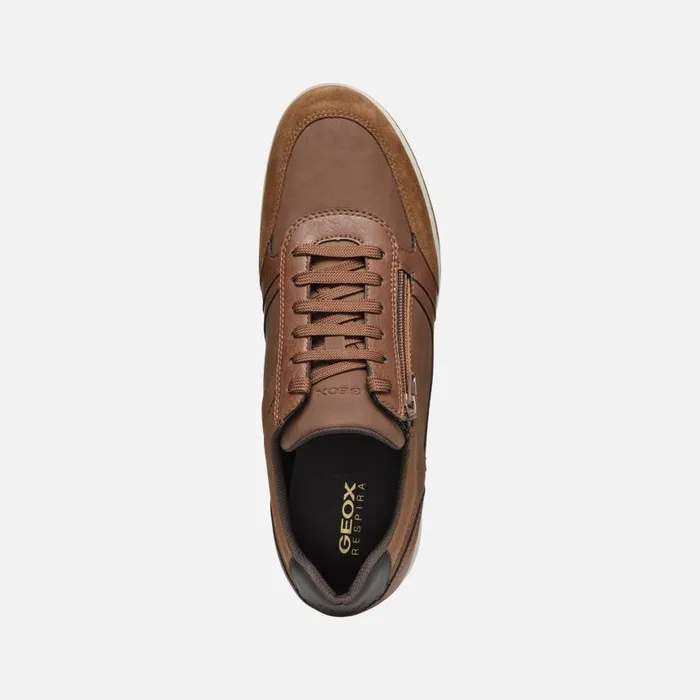 Man Geox Sneakers AVERY MAN Brown Cotto Low Top Sneakers Brown Cotto