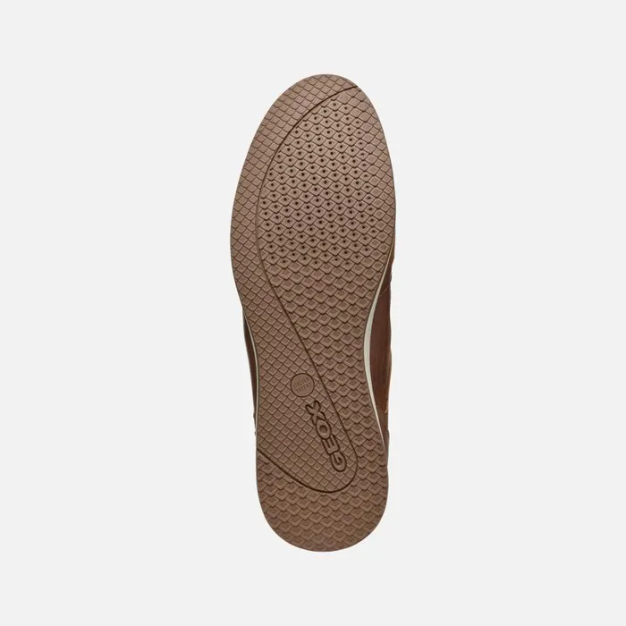 Man Geox Sneakers AVERY MAN Brown Cotto Low Top Sneakers Brown Cotto