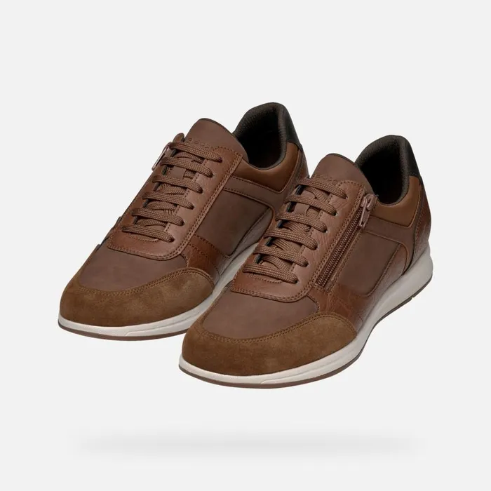 Man Geox Sneakers AVERY MAN Brown Cotto Low Top Sneakers Brown Cotto
