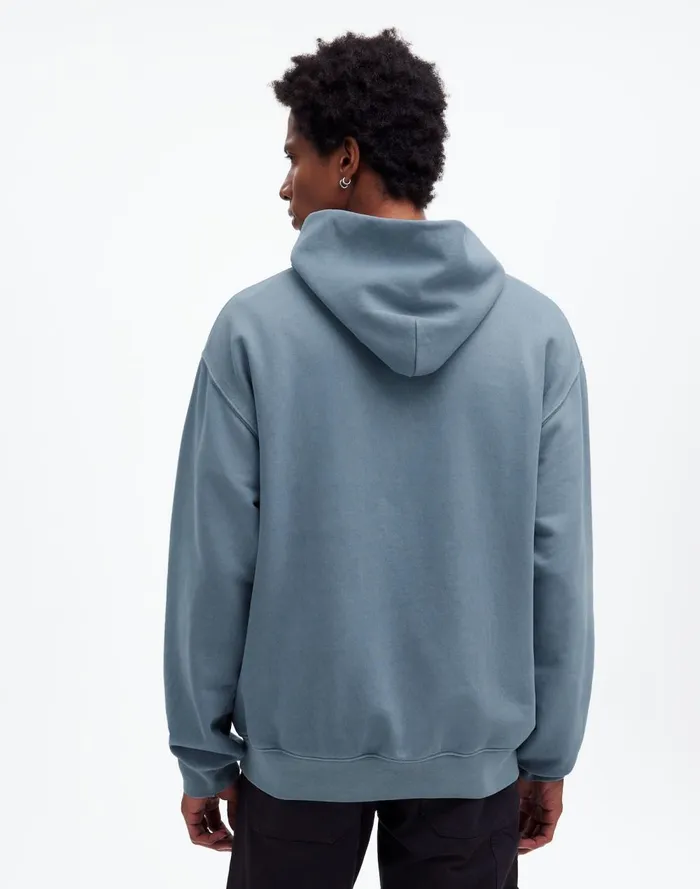 Men Hoodies and Sweatshirts Madewell The McCarren Midweight Hoodie Sweatshirt Teapot Blue