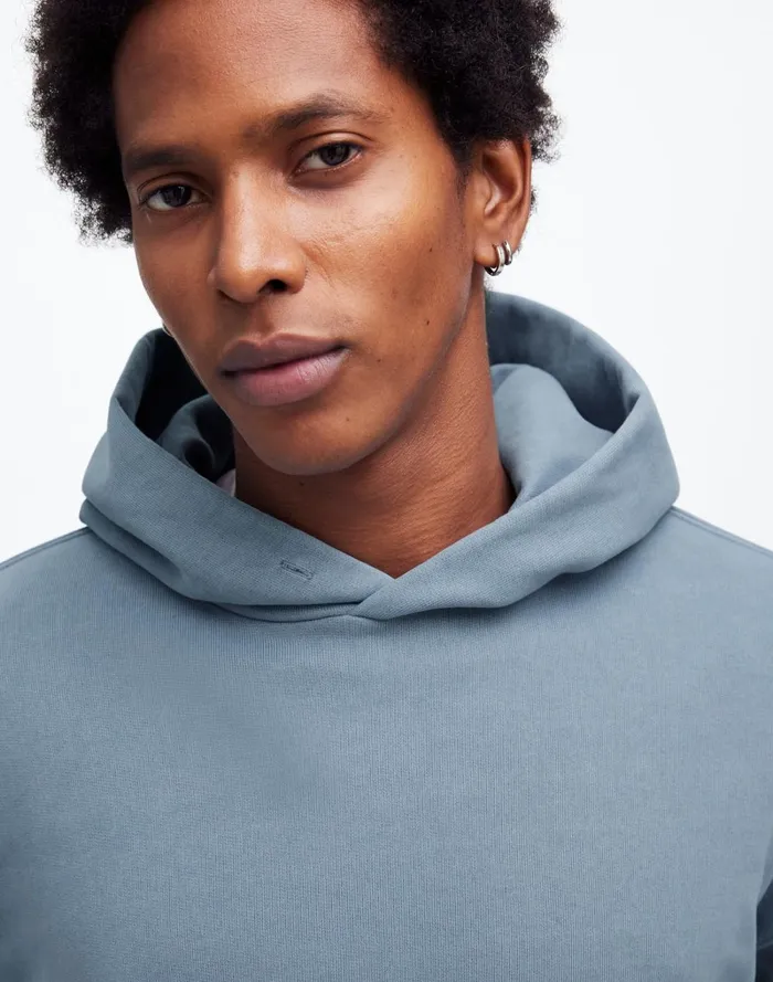 Men Hoodies and Sweatshirts Madewell The McCarren Midweight Hoodie Sweatshirt Teapot Blue