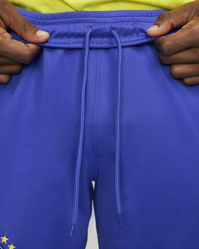 Men Nike Shorts Brazil 202223 Stadium Home Paramount Bluegreen Sparkgreen Spark