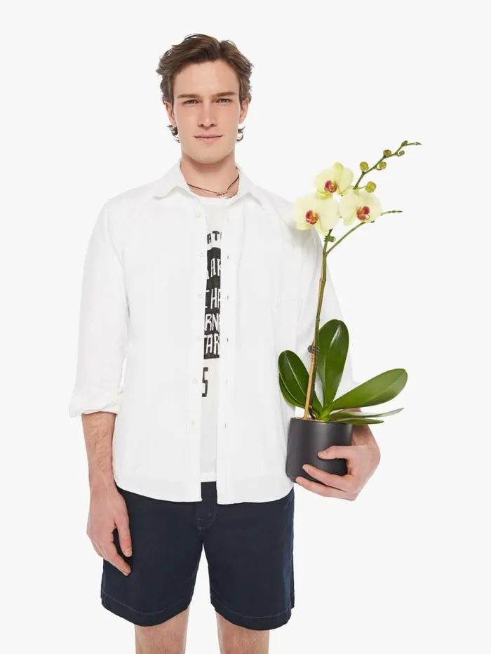 Men Shirts Mother Denim Back At The Office White