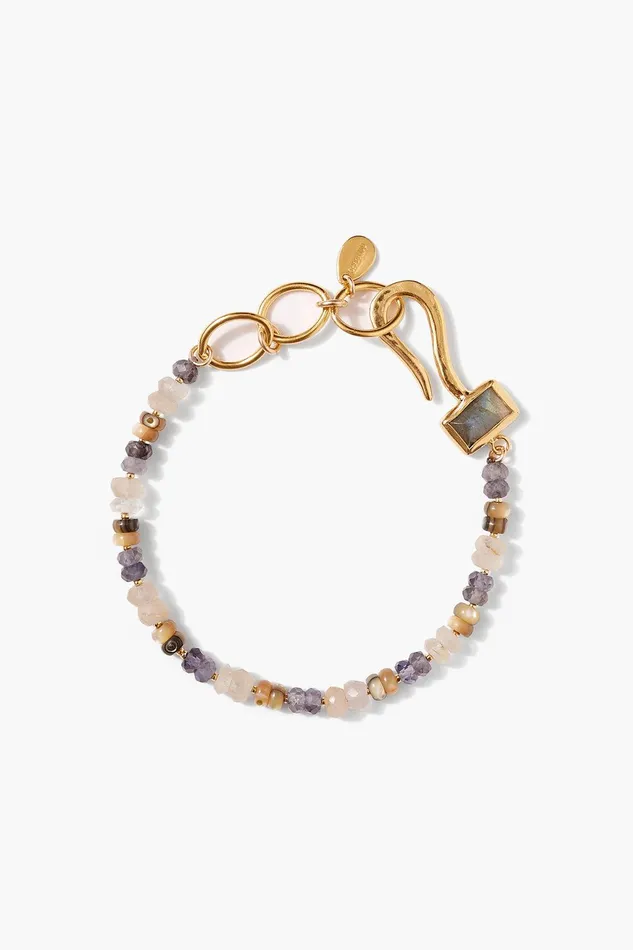 Odyssey Hook Bracelet Iolite Women Chan Luu Bracelets