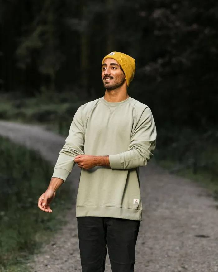 Passenger Clothing Heritage Recycled Cotton Sweatshirt Pistachio Men Hoodies and Sweatshirts