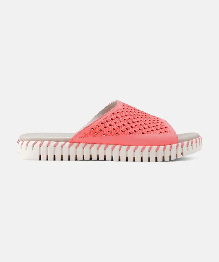 Sandals 8211 Rasperry Shoes Ilse Jacobsen Sandals