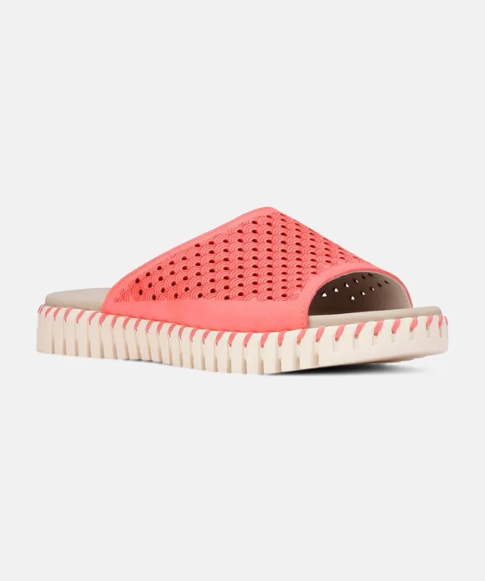 Sandals 8211 Rasperry Shoes Ilse Jacobsen Sandals