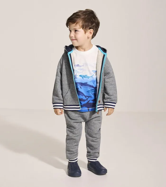 Sweaters Baby and Toddler Hatley Baby and Toddler Boys Flame Blue ZipUp Hoodie