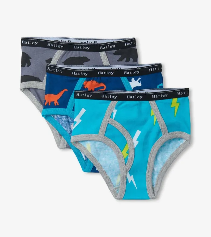 Underwear Boys Hatley Boys Silhouette Nature 3 Pack Classic Briefs