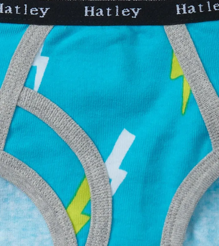 Underwear Boys Hatley Boys Silhouette Nature 3 Pack Classic Briefs