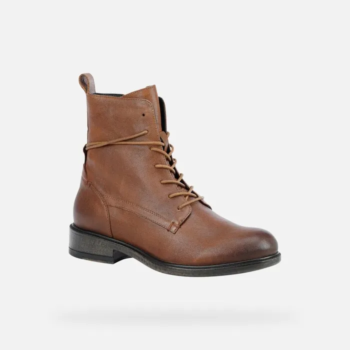 Woman Geox Ankle Boots CATRIA A Combat Boots Brown Woman Geox Brown