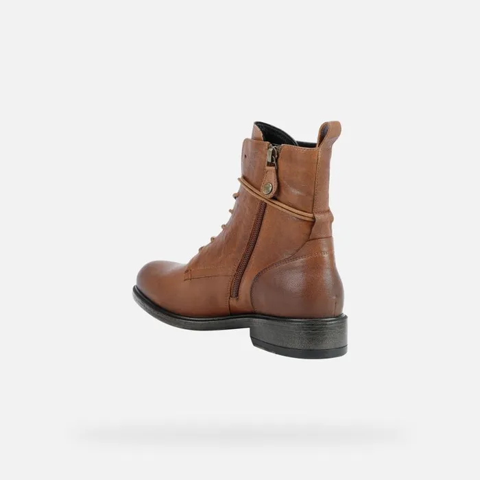 Woman Geox Ankle Boots CATRIA A Combat Boots Brown Woman Geox Brown
