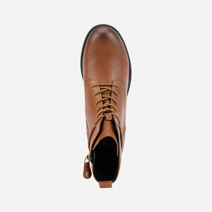 Woman Geox Ankle Boots CATRIA A Combat Boots Brown Woman Geox Brown
