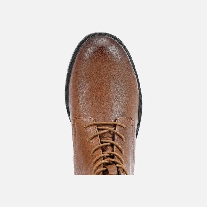 Woman Geox Ankle Boots CATRIA A Combat Boots Brown Woman Geox Brown