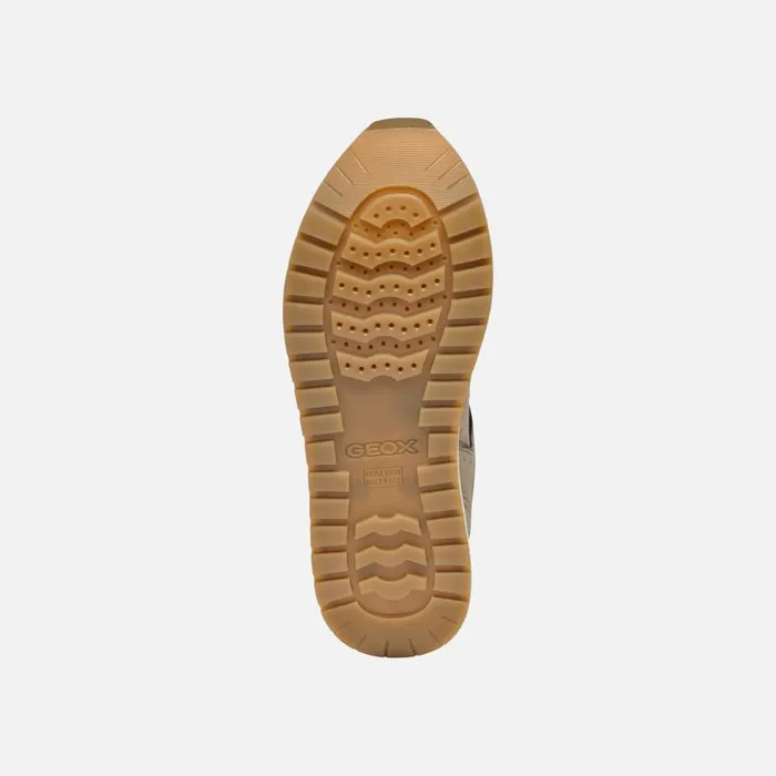 Woman Geox Sneakers NEW KENCY WOMAN Taupe Low Top Sneakers Taupe