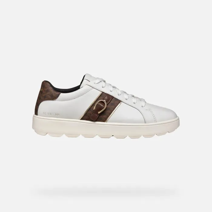 Woman Geox Sneakers SPHERICA ECUB1 WOMAN WhiteDark Brown Low Top Sneakers Whitedark Brown