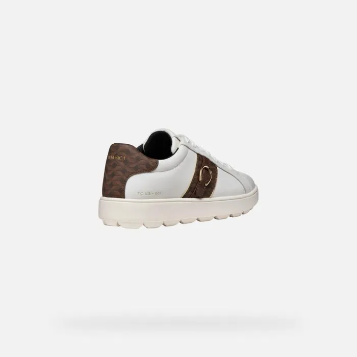 Woman Geox Sneakers SPHERICA ECUB1 WOMAN WhiteDark Brown Low Top Sneakers Whitedark Brown