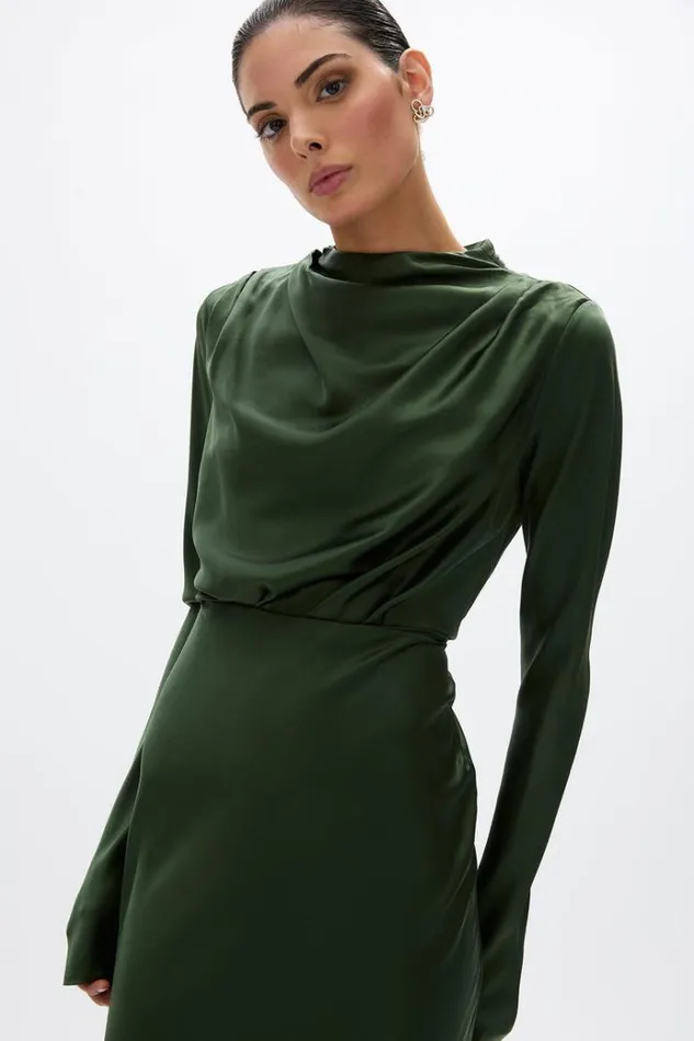 Women Evening Dresses Rachel Gilbert Lucielle Gown Forrest