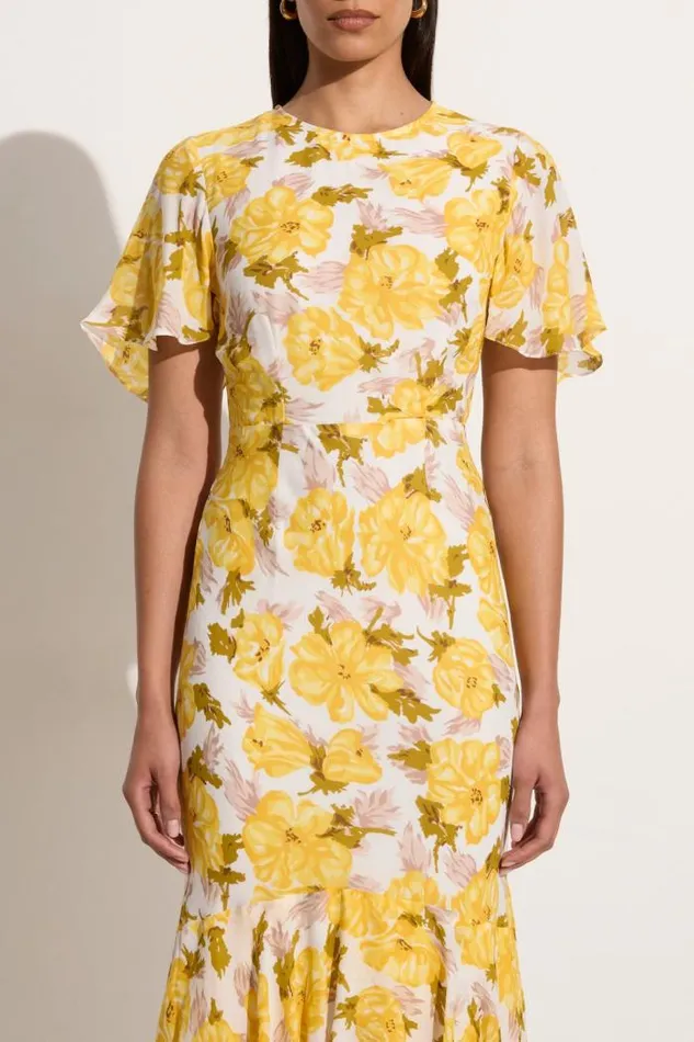 Women Faithfull The Brand Dresses Esperanza Maxi Dress Isadora Floral