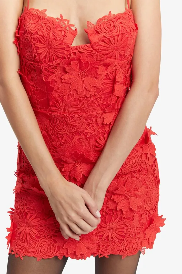 Women Party Dresses Bardot Brias Lace Mini Dress In Fire Red Fire Red Women Party Dresses Bardot Brias Lace Mini Dress In Fire Red Fire Red