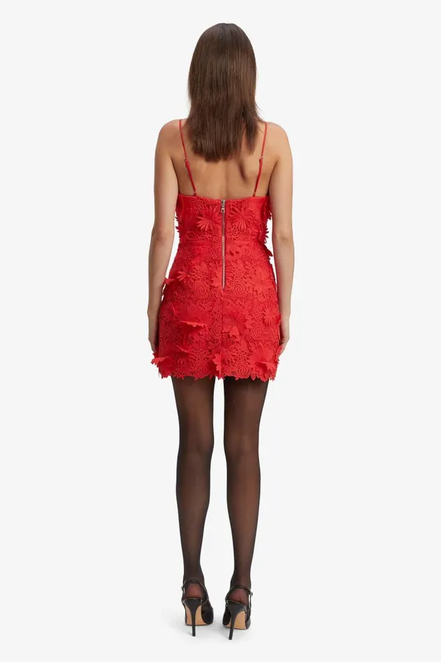 Women Party Dresses Bardot Brias Lace Mini Dress In Fire Red Fire Red Women Party Dresses Bardot Brias Lace Mini Dress In Fire Red Fire Red