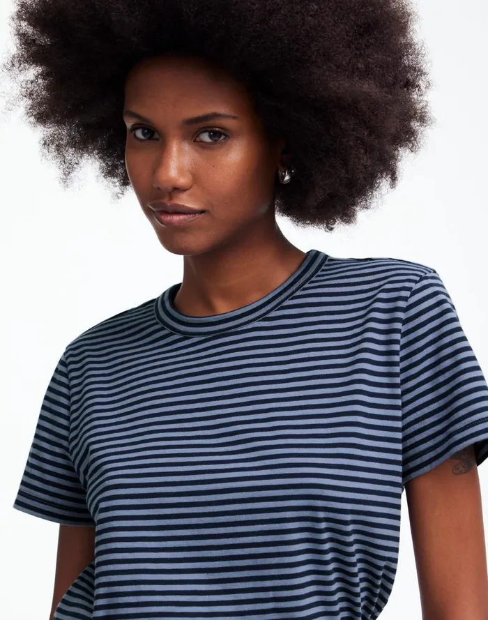 Women Tees Madewell Cotton Perfect Crewneck Tee Teapot Blue